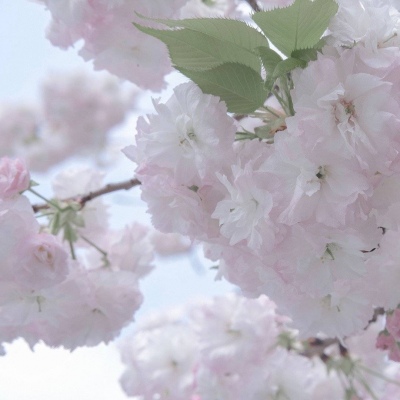 Furry兽圈创作趋势FurryQQ群